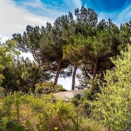 Oleander Kricin Baska (Krk)